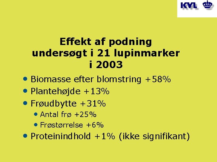 Effekt af podning undersøgt i 21 lupinmarker i 2003 • Biomasse efter blomstring +58%