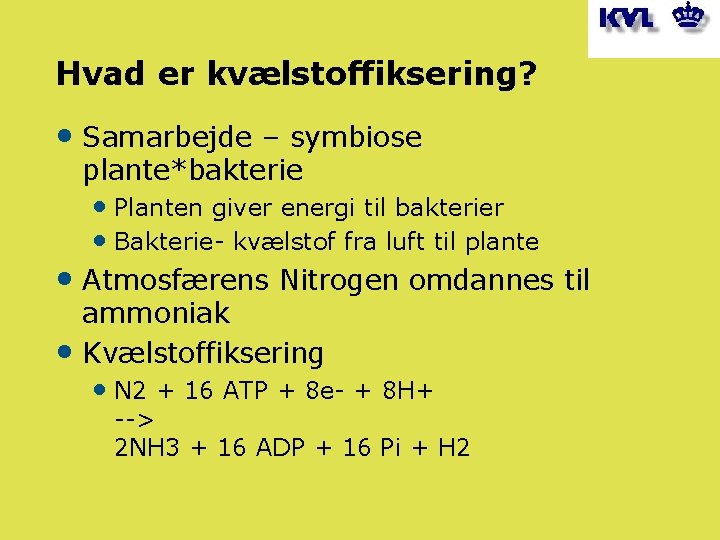 Hvad er kvælstoffiksering? • Samarbejde – symbiose plante*bakterie • Planten giver energi til bakterier