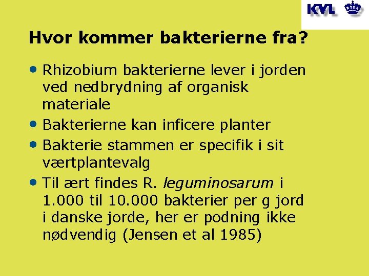 Hvor kommer bakterierne fra? • Rhizobium bakterierne lever i jorden ved nedbrydning af organisk