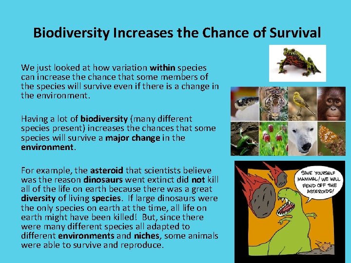 Biodiversity Increases the Chance of Survival We just looked at how variation within species