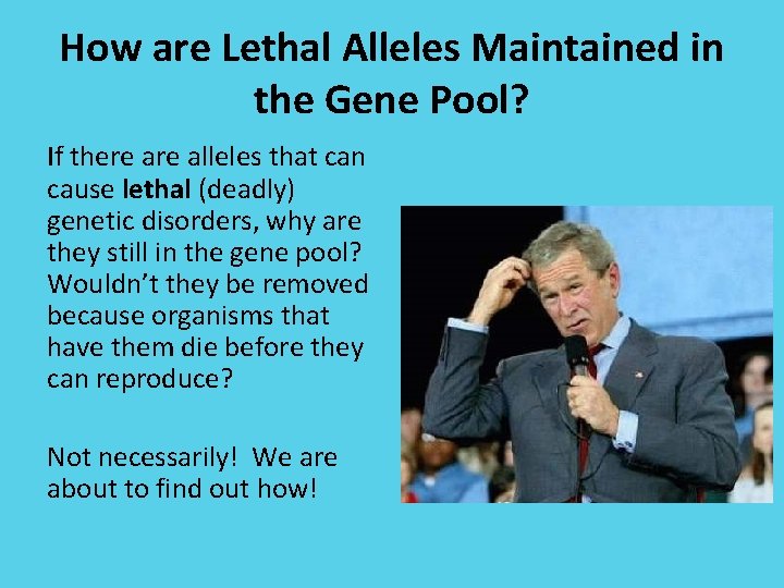 How are Lethal Alleles Maintained in the Gene Pool? If there alleles that can