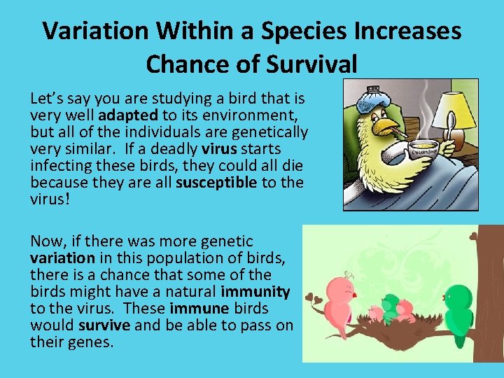 Variation Within a Species Increases Chance of Survival Let’s say you are studying a