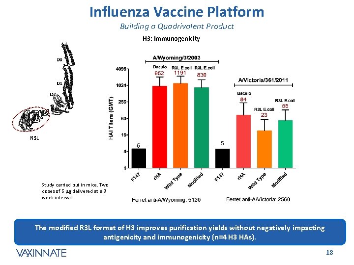 Influenza Vaccine Platform Building a Quadrivalent Product H 3: Immunogenicity R 3 L Study