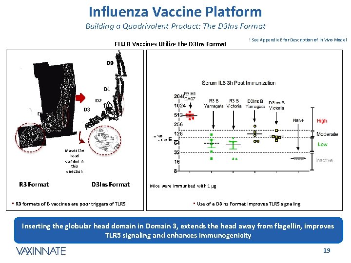 Influenza Vaccine Platform Building a Quadrivalent Product: The D 3 Ins Format FLU B