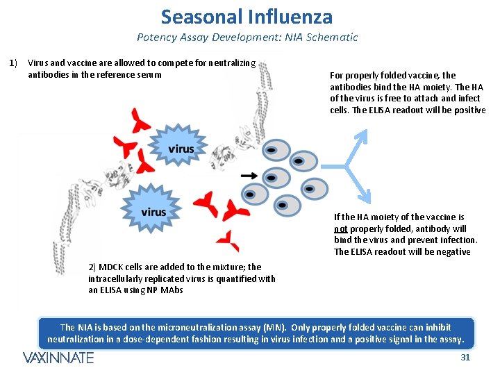 Seasonal Influenza Potency Assay Development: NIA Schematic 1) Virus and vaccine are allowed to