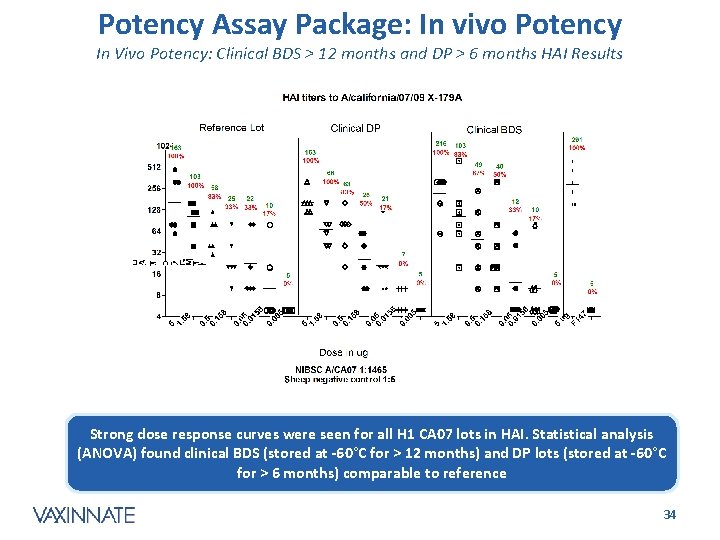 Potency Assay Package: In vivo Potency In Vivo Potency: Clinical BDS > 12 months