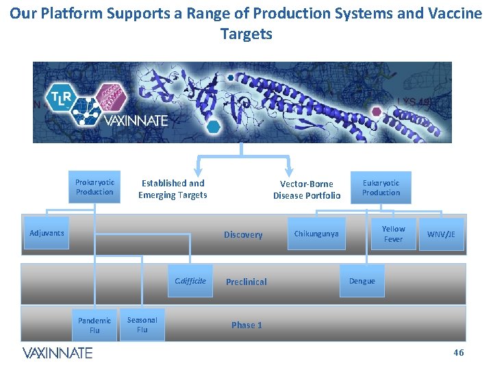 Our Platform Supports a Range of Production Systems and Vaccine Targets Prokaryotic Production Established