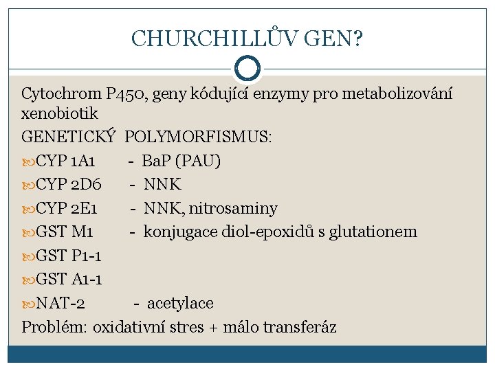 CHURCHILLŮV GEN? Cytochrom P 450, geny kódující enzymy pro metabolizování xenobiotik GENETICKÝ POLYMORFISMUS: CYP