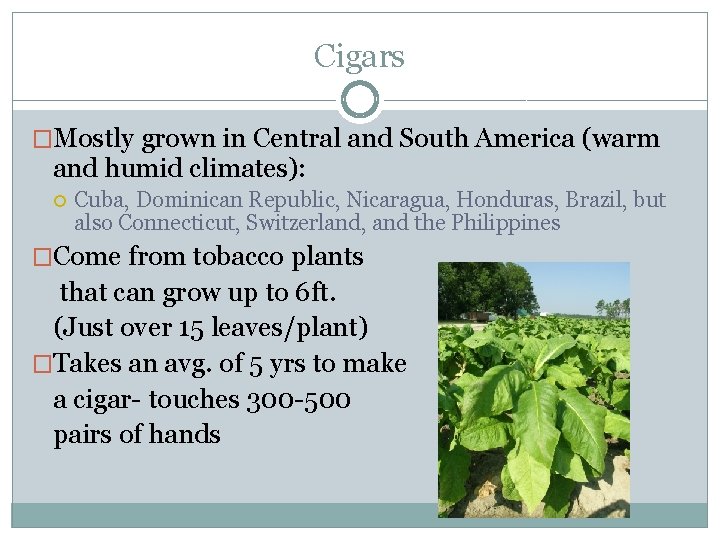 Cigars �Mostly grown in Central and South America (warm and humid climates): Cuba, Dominican