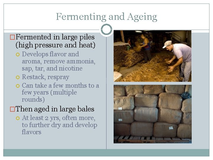 Fermenting and Ageing �Fermented in large piles (high pressure and heat) Develops flavor and