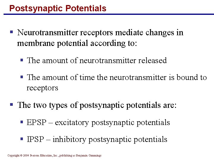 Postsynaptic Potentials § Neurotransmitter receptors mediate changes in membrane potential according to: § The