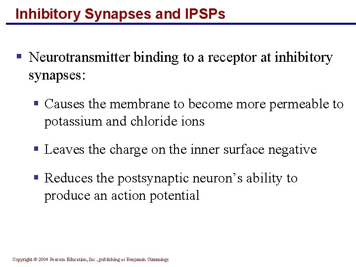 Inhibitory Synapses and IPSPs § Neurotransmitter binding to a receptor at inhibitory synapses: §