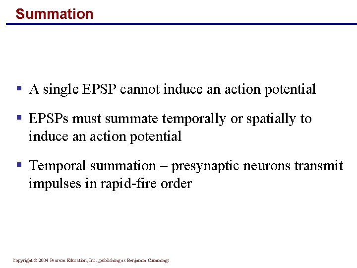 Summation § A single EPSP cannot induce an action potential § EPSPs must summate