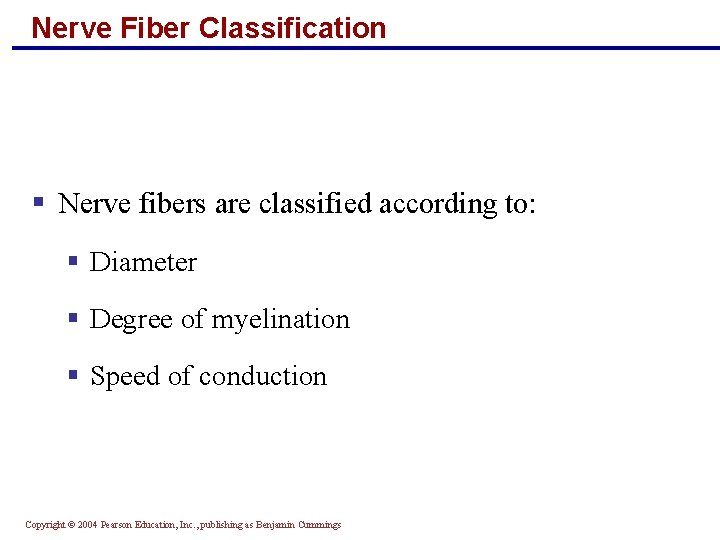 Nerve Fiber Classification § Nerve fibers are classified according to: § Diameter § Degree