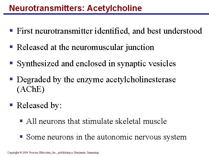 Neurotransmitters: Acetylcholine § First neurotransmitter identified, and best understood § Released at the neuromuscular
