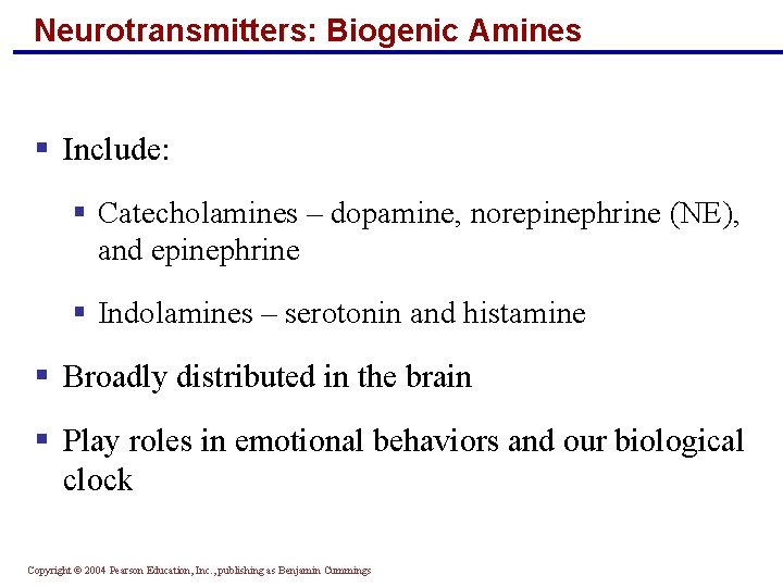 Neurotransmitters: Biogenic Amines § Include: § Catecholamines – dopamine, norepinephrine (NE), and epinephrine §