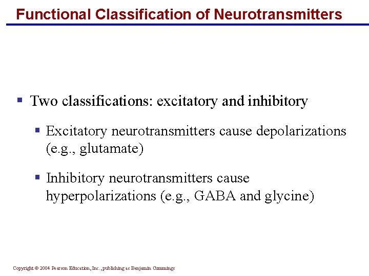 Functional Classification of Neurotransmitters § Two classifications: excitatory and inhibitory § Excitatory neurotransmitters cause