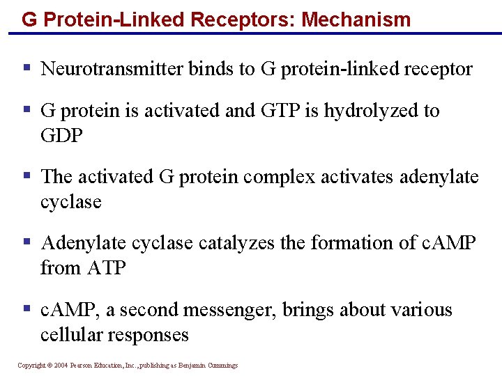 G Protein-Linked Receptors: Mechanism § Neurotransmitter binds to G protein-linked receptor § G protein