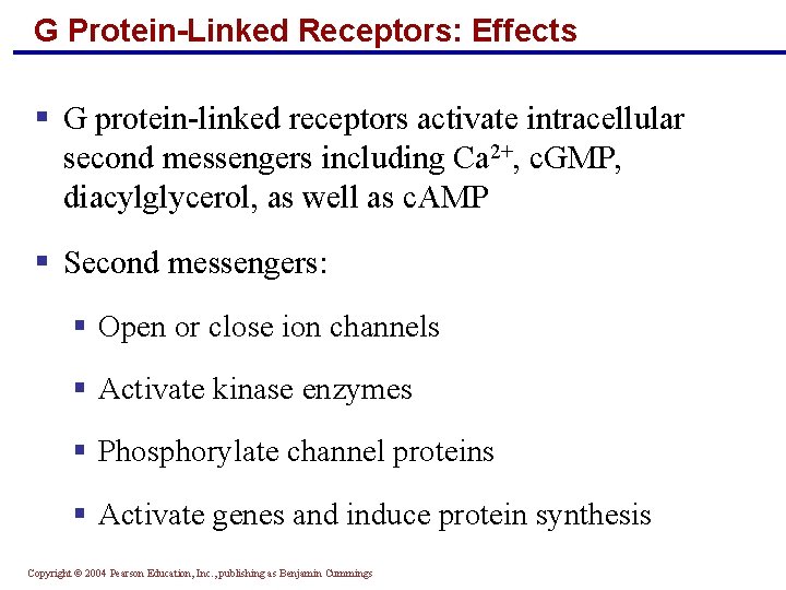 G Protein-Linked Receptors: Effects § G protein-linked receptors activate intracellular second messengers including Ca