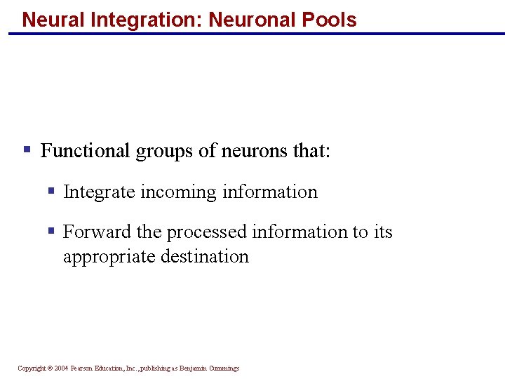 Neural Integration: Neuronal Pools § Functional groups of neurons that: § Integrate incoming information