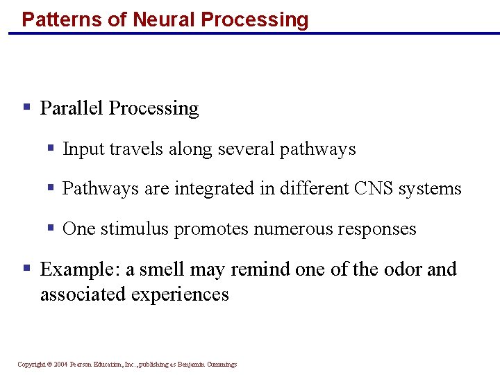 Patterns of Neural Processing § Parallel Processing § Input travels along several pathways §