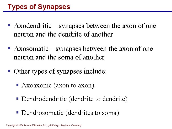 Types of Synapses § Axodendritic – synapses between the axon of one neuron and