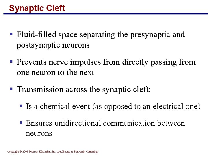 Synaptic Cleft § Fluid-filled space separating the presynaptic and postsynaptic neurons § Prevents nerve