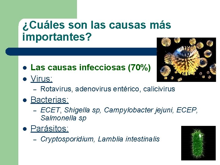 ¿Cuáles son las causas más importantes? l l Las causas infecciosas (70%) Virus: –