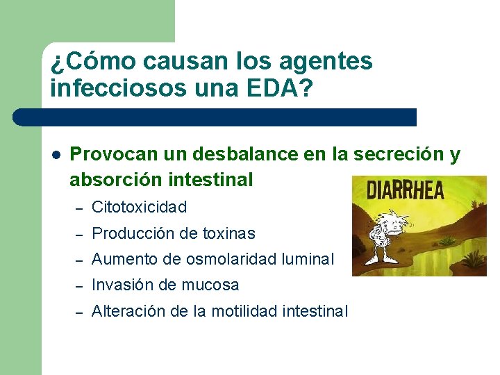 ¿Cómo causan los agentes infecciosos una EDA? l Provocan un desbalance en la secreción