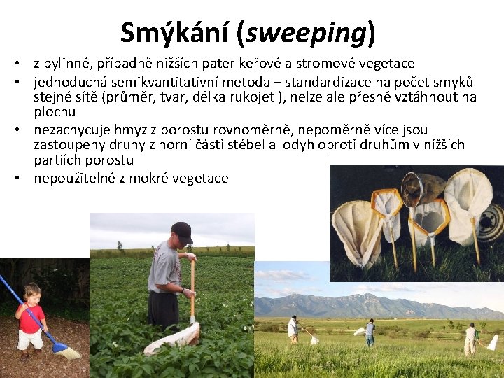 Smýkání (sweeping) • z bylinné, případně nižších pater keřové a stromové vegetace • jednoduchá