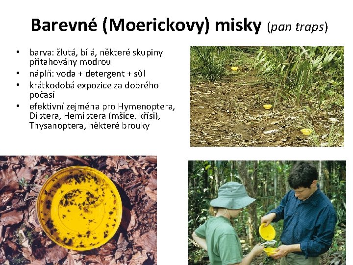 Barevné (Moerickovy) misky (pan traps) • barva: žlutá, bílá, některé skupiny přitahovány modrou •