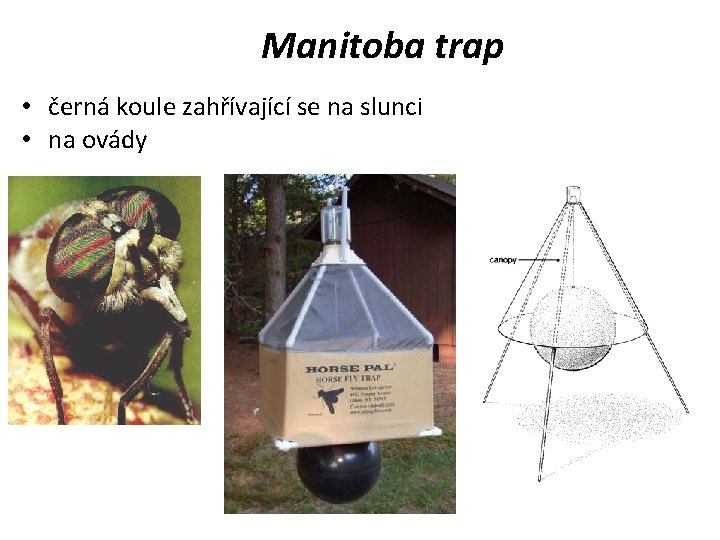 Manitoba trap • černá koule zahřívající se na slunci • na ovády 