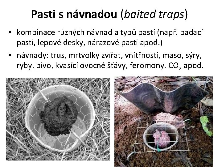 Pasti s návnadou (baited traps) • kombinace různých návnad a typů pastí (např. padací