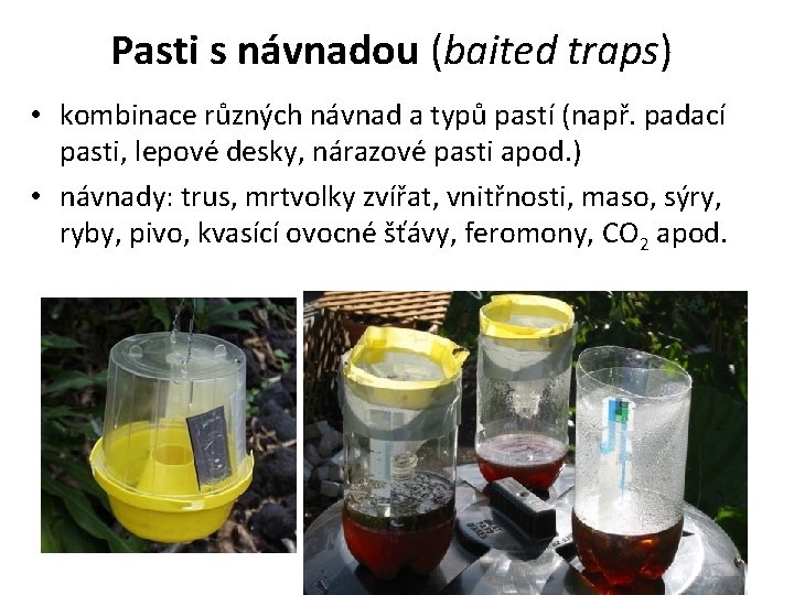 Pasti s návnadou (baited traps) • kombinace různých návnad a typů pastí (např. padací