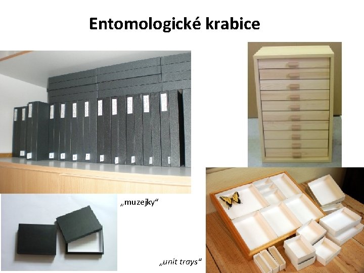 Entomologické krabice „muzejky“ „unit trays“ 