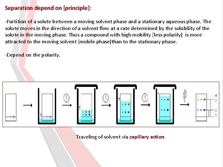 Separation depend on [principle]: -Partition of a solute between a moving solvent phase and