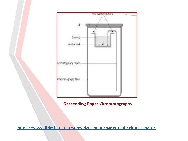 Descending Paper Chromatography https: //www. slideshare. net/sreevidyavemuri/paper-and-column-and-tlc 