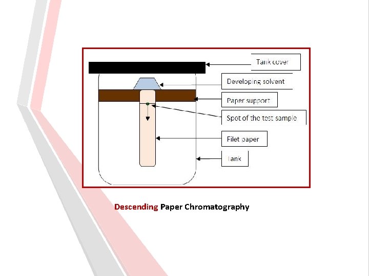 Descending Paper Chromatography 