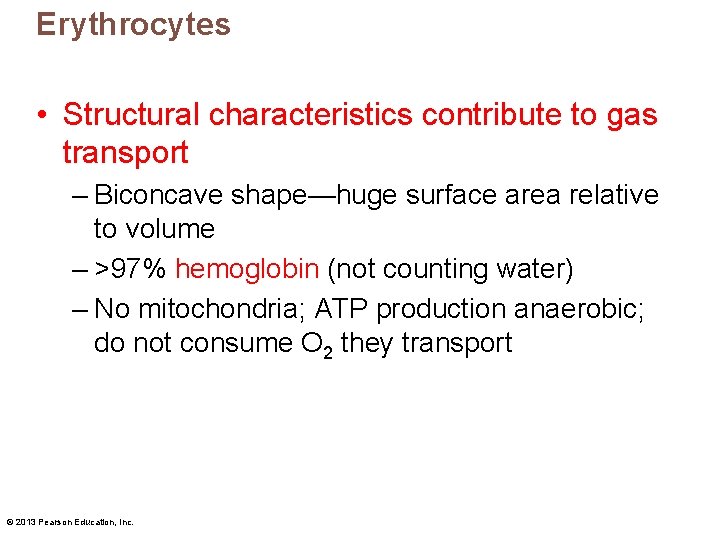 Erythrocytes • Structural characteristics contribute to gas transport – Biconcave shape—huge surface area relative