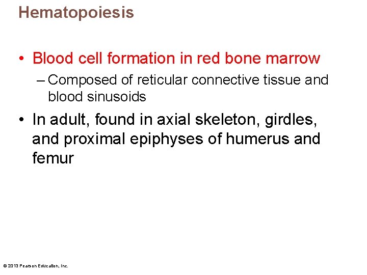 Hematopoiesis • Blood cell formation in red bone marrow – Composed of reticular connective