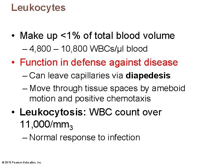 Leukocytes • Make up <1% of total blood volume – 4, 800 – 10,