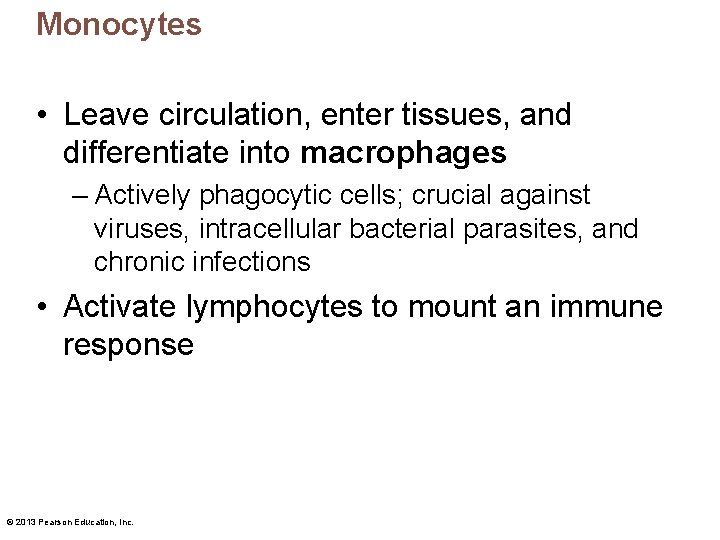 Monocytes • Leave circulation, enter tissues, and differentiate into macrophages – Actively phagocytic cells;
