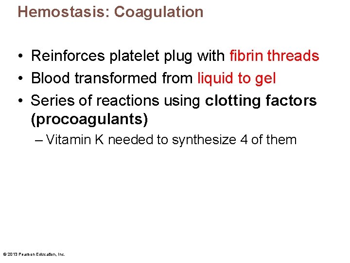 Hemostasis: Coagulation • Reinforces platelet plug with fibrin threads • Blood transformed from liquid