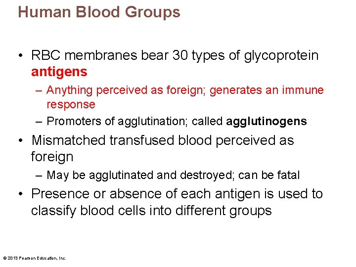 Human Blood Groups • RBC membranes bear 30 types of glycoprotein antigens – Anything