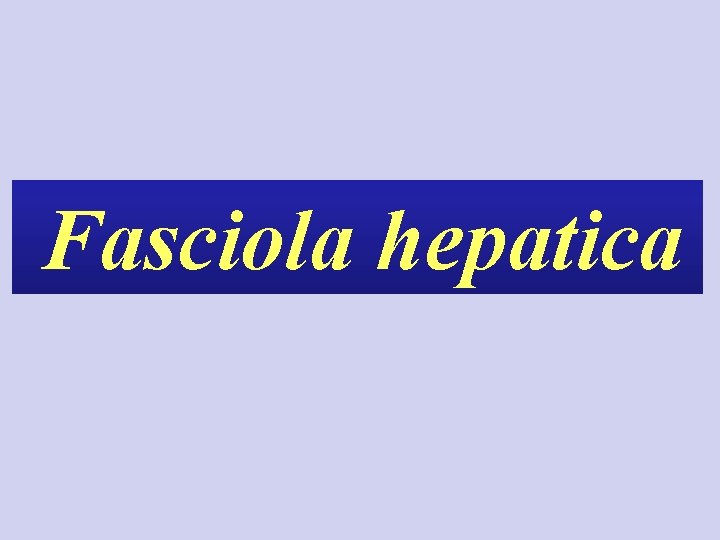 Fasciola hepatica 
