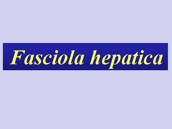 Fasciola hepatica 