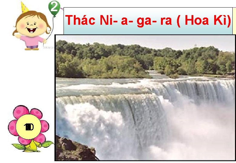 Ô chữ này có 11 chữ cái Thác Ni- a- ga- ra ( Hoa