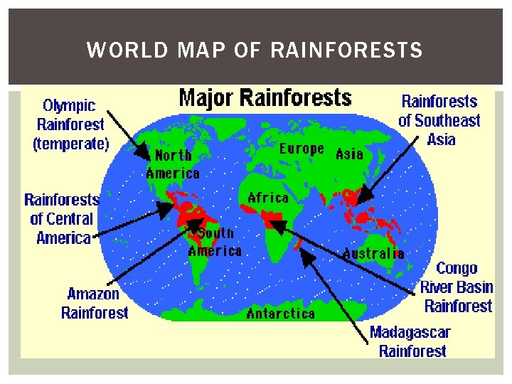 WORLD MAP OF RAINFORESTS 