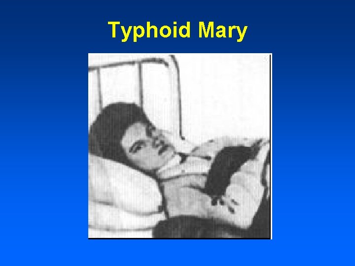 Typhoid Mary 