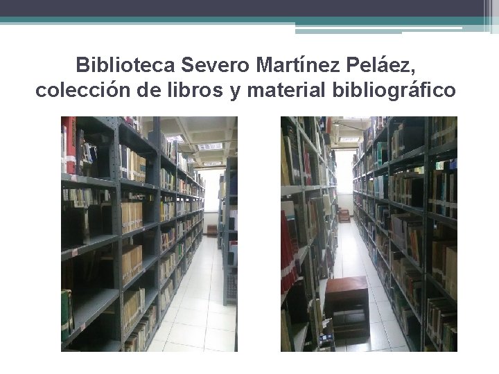 Biblioteca Severo Martínez Peláez, colección de libros y material bibliográfico 